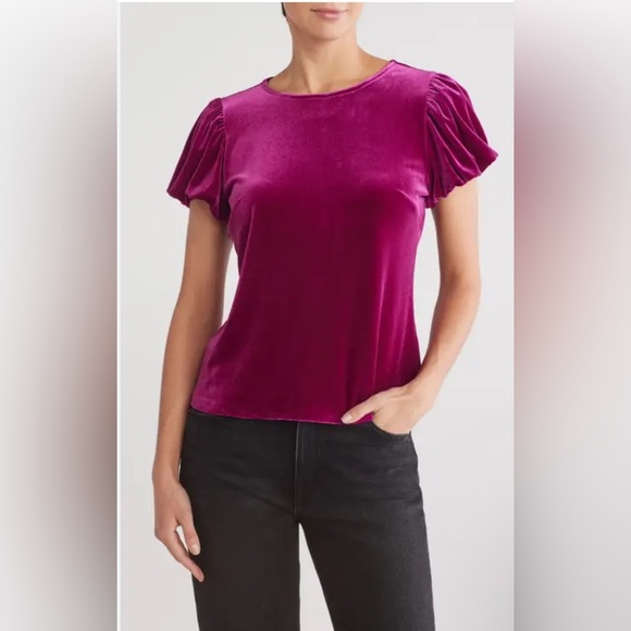 Parker Women’s Beyond Fuschia Velvet Short Sleeve Top Size M NWT - Picture 1 of 6